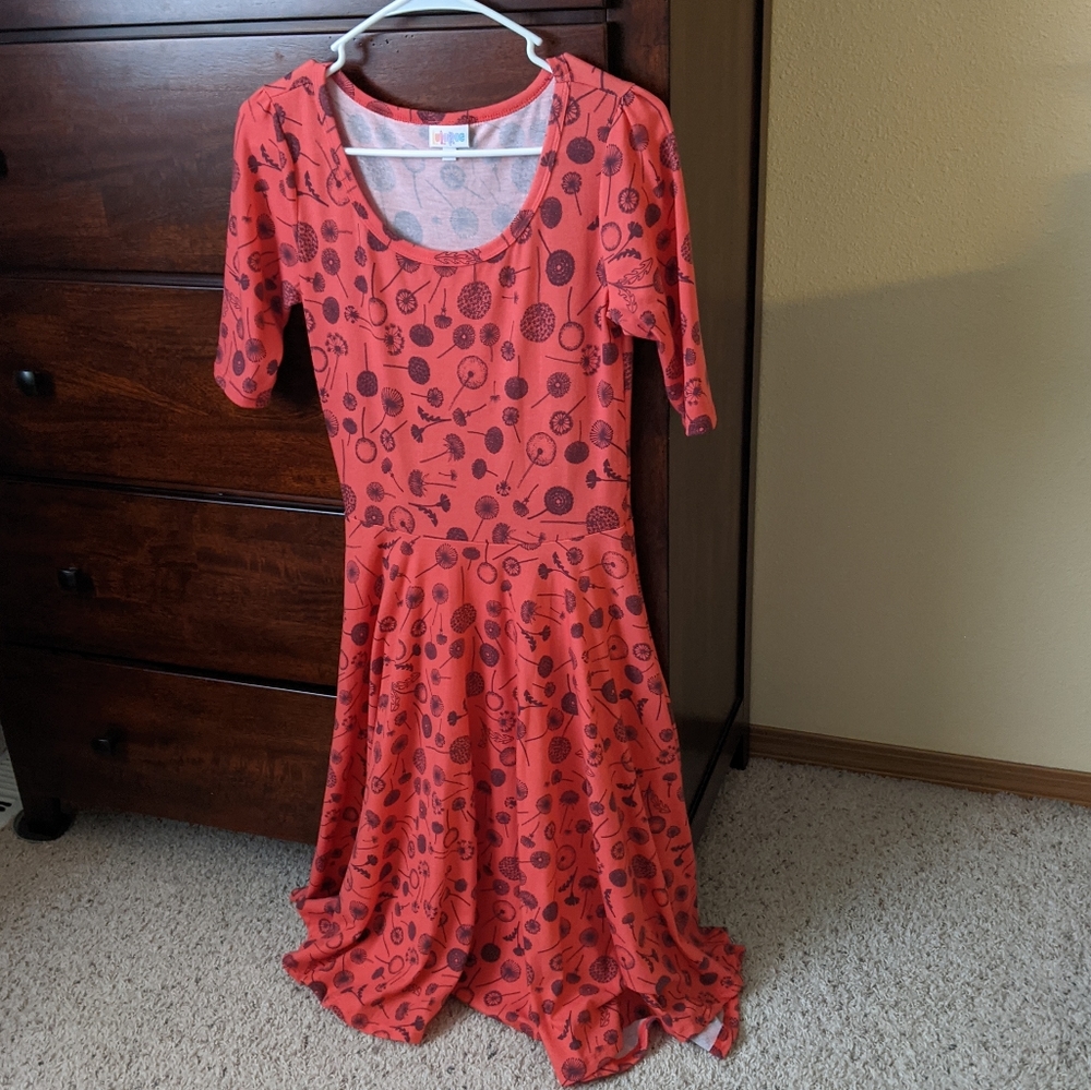 LuLaRoe Nicole Dandelion dress pink and navy size small EUC Fall Spring